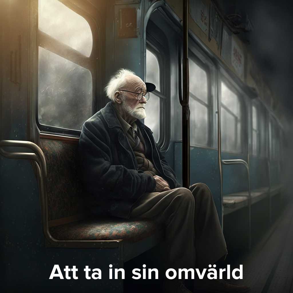 Att ta in sin omvärld